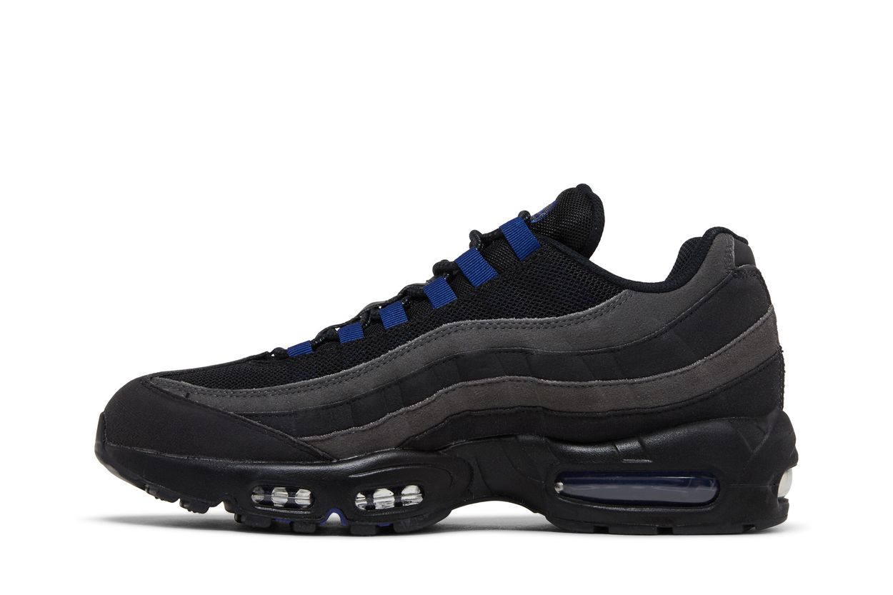 Nike Air Max 95 Anthracite Deep Royal Blue - vue arrière